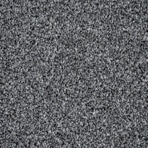 Pisa Saxony Carpet