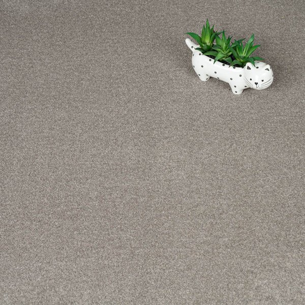 iSense Obsession Carpet